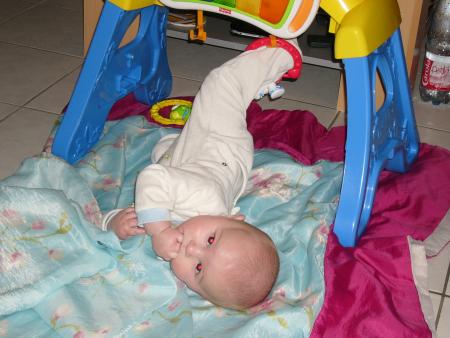 theo